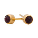 February Birthstone Gold