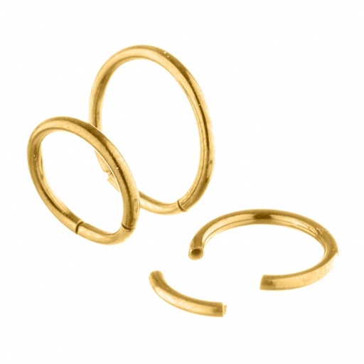 [70422100] Segment Ring 14g 10mm 18ct