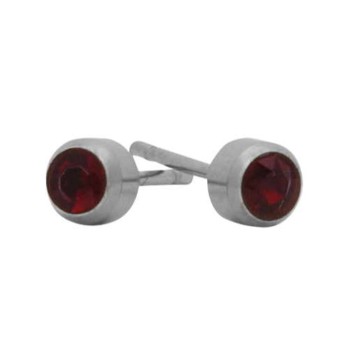 [51211] January Birthstone Stainless