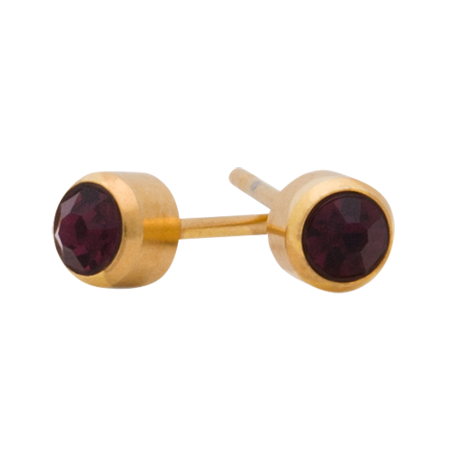 [51220] February Birthstone Gold
