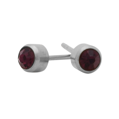 [51221] February Birthstone Stainless
