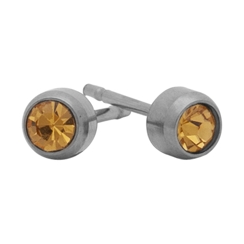 [51311] November Birthstone Stainless