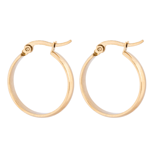 [58200] Gold Reg Hoop